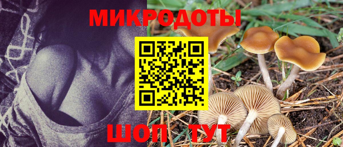 Галлюциногенные грибы Psilocybe  Галлюциногенные грибы Cubensis  купить   Вход с VPN  Касимов 